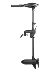 Haswing Osapian 30 Lbs Buitenboordmotor | Shipsworld