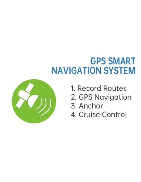 Haswing Cayman B 55 Lbs GPS Zwart | Shipsworld