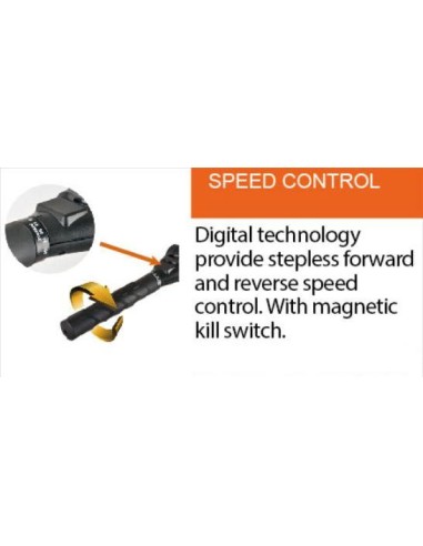 Haswing Ultima 3.0 Elektrische Buitenboordmotor | Shipsworld