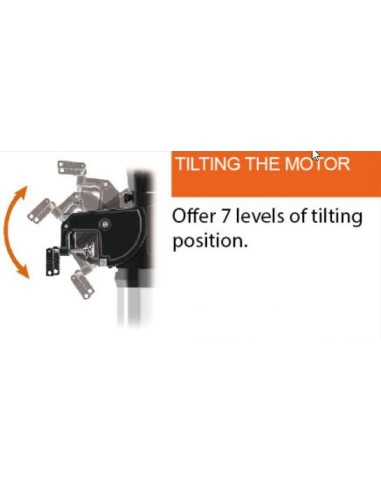 Haswing Ultima 3.0 Elektrische Buitenboordmotor | Shipsworld