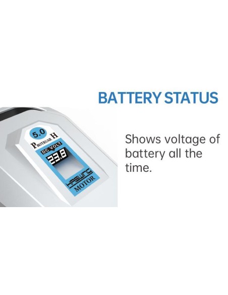 Haswing Ventura T5.0/24V Buitenboordmotor | Shipsworld
